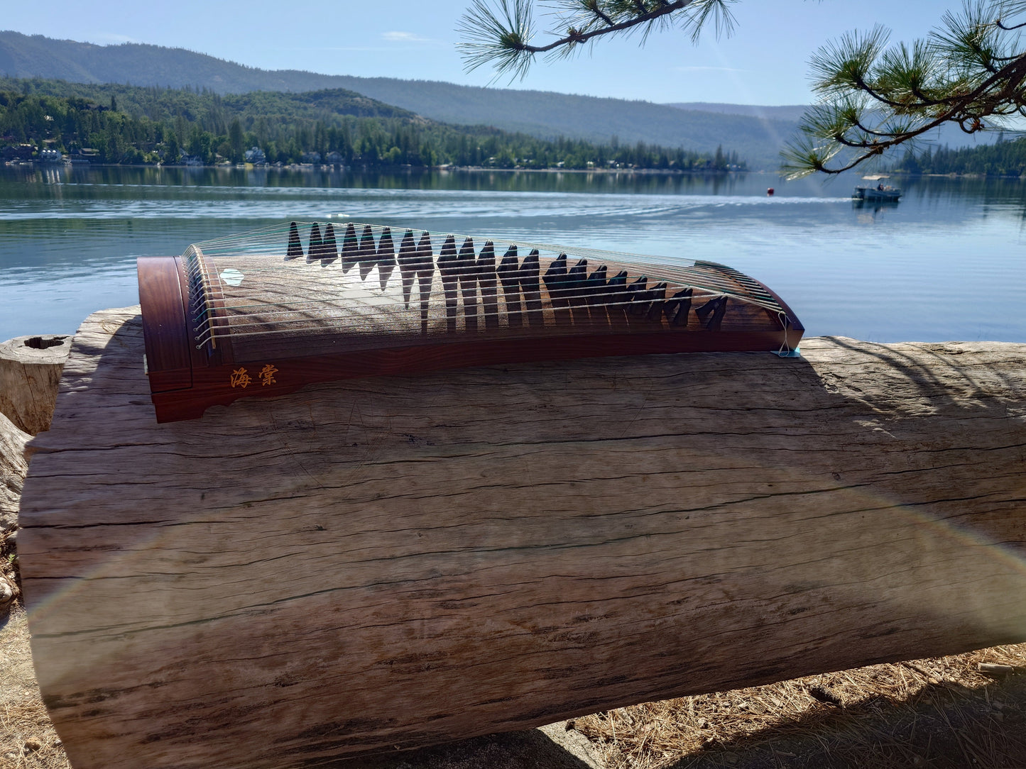 Haitang Guzheng 43" Travel-size Indian Rosewood “Little Begonia"